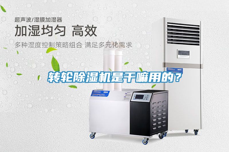 轉(zhuǎn)輪除濕機是干嘛用的？
