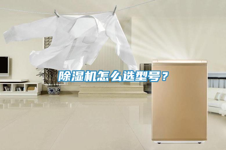 除濕機(jī)怎么選型號(hào)？