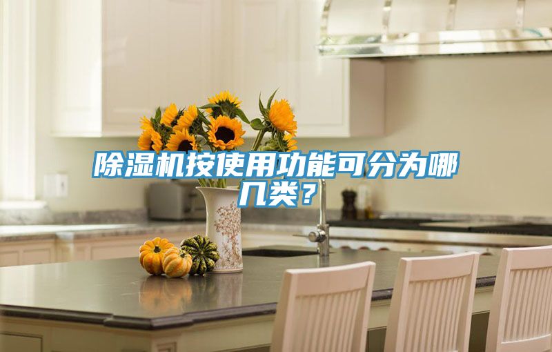 除濕機(jī)按使用功能可分為哪幾類(lèi)？