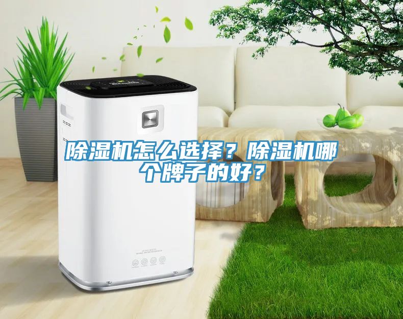 除濕機(jī)怎么選擇？除濕機(jī)哪個(gè)牌子的好？