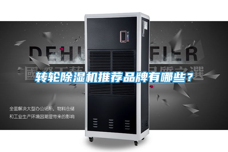 轉輪除濕機推薦品牌有哪些？
