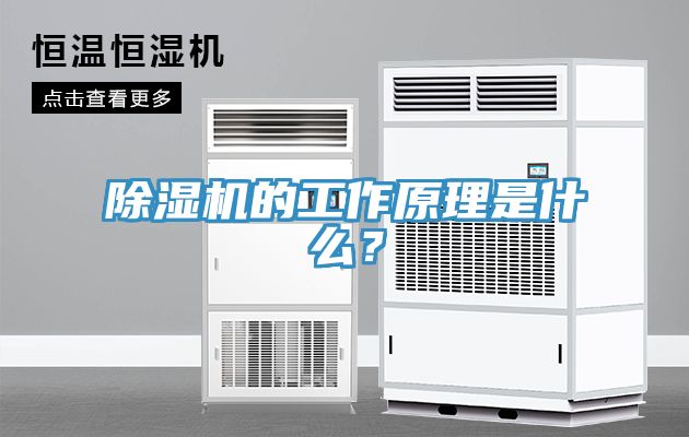 除濕機(jī)的工作原理是什么？