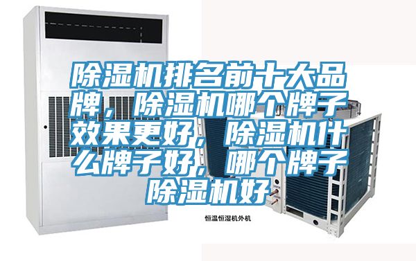 除濕機(jī)排名前十大品牌，除濕機(jī)哪個(gè)牌子效果更好，除濕機(jī)什么牌子好，哪個(gè)牌子除濕機(jī)好