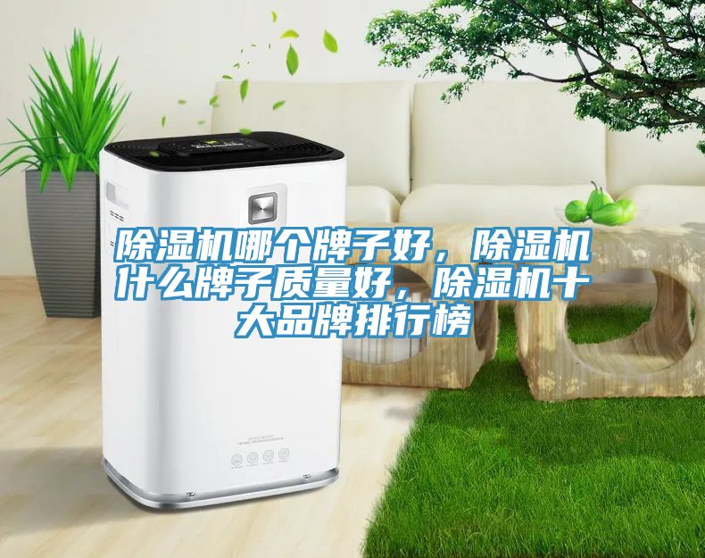 除濕機哪個牌子好，除濕機什么牌子質(zhì)量好，除濕機十大品牌排行榜