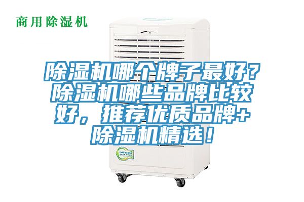 除濕機(jī)哪個(gè)牌子最好？除濕機(jī)哪些品牌比較好，推薦優(yōu)質(zhì)品牌+除濕機(jī)精選！