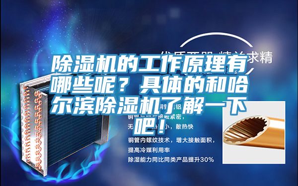 除濕機(jī)的工作原理有哪些呢？具體的和哈爾濱除濕機(jī)了解一下吧！