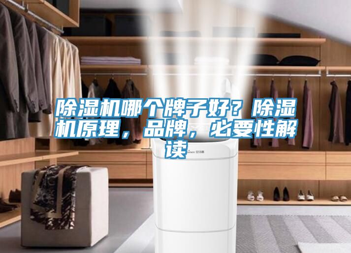 除濕機哪個牌子好？除濕機原理，品牌，必要性解讀