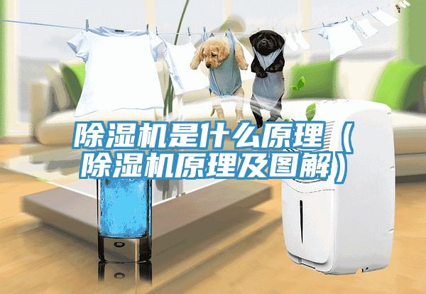 除濕機(jī)是什么原理（除濕機(jī)原理及圖解）