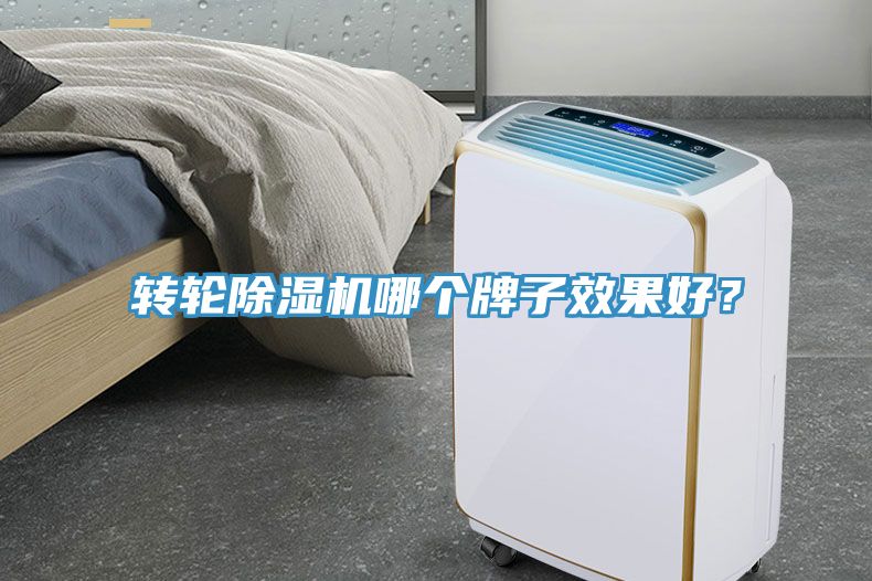 轉(zhuǎn)輪除濕機(jī)哪個牌子效果好？