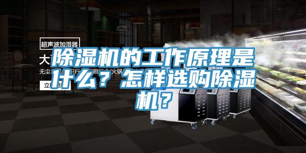 除濕機(jī)的工作原理是什么？怎樣選購除濕機(jī)？