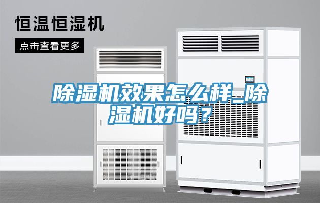 除濕機效果怎么樣_除濕機好嗎？