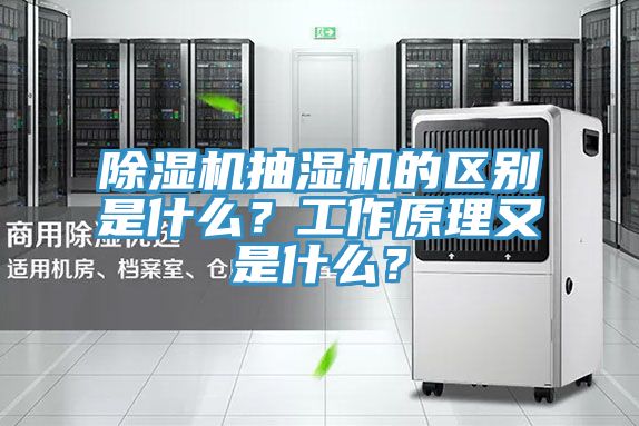 除濕機(jī)抽濕機(jī)的區(qū)別是什么？工作原理又是什么？
