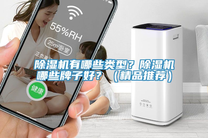 除濕機有哪些類型？除濕機哪些牌子好？（精品推薦）