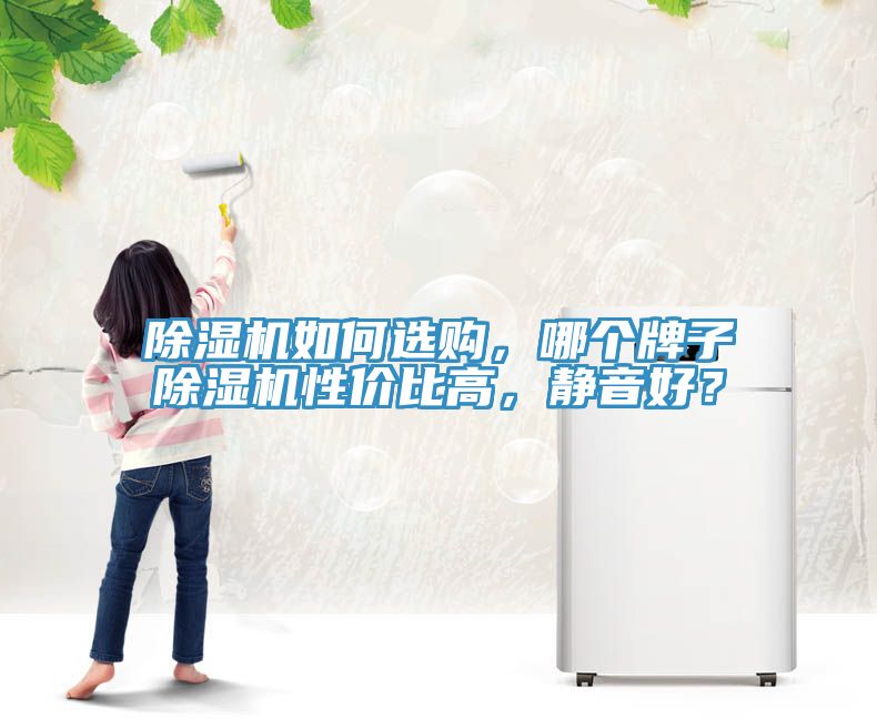 除濕機(jī)如何選購(gòu)，哪個(gè)牌子除濕機(jī)性?xún)r(jià)比高，靜音好？