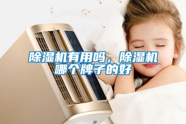 除濕機(jī)有用嗎，除濕機(jī)哪個牌子的好