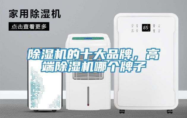 除濕機的十大品牌，高端除濕機哪個牌子