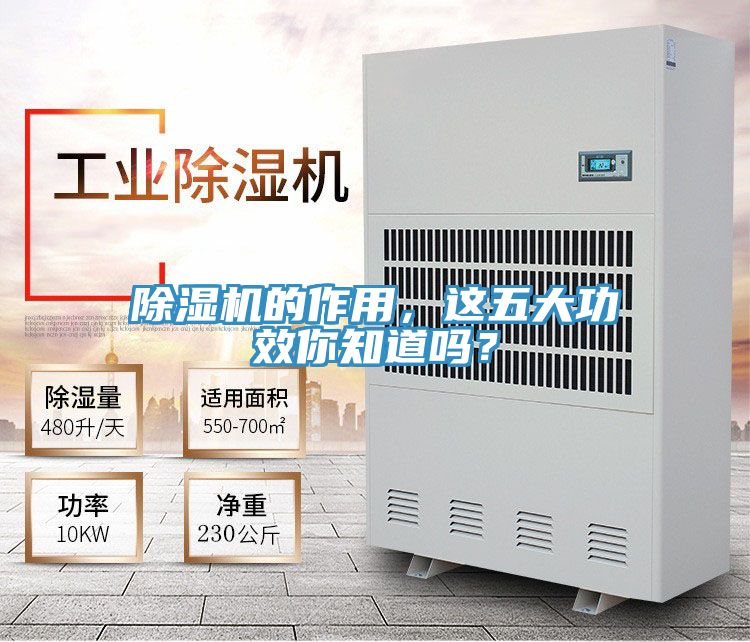 除濕機(jī)的作用，這五大功效你知道嗎？